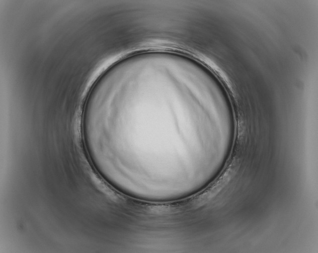 X0000112721421200909101437