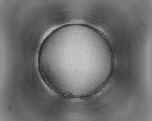 X0000112721422200909101437