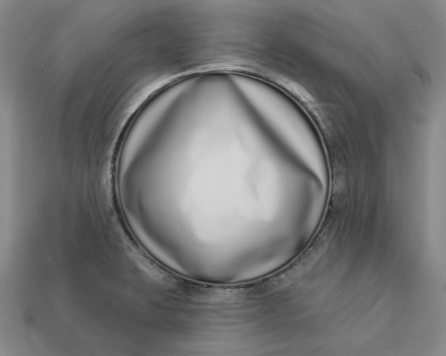 X0000112721423200909101437