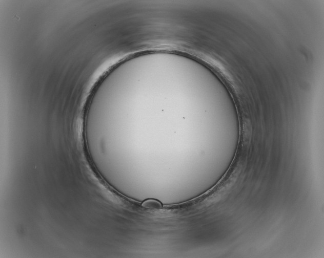 X0000112721424200909101437