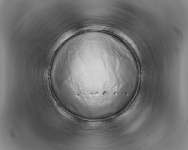 X0000112721425200909101437