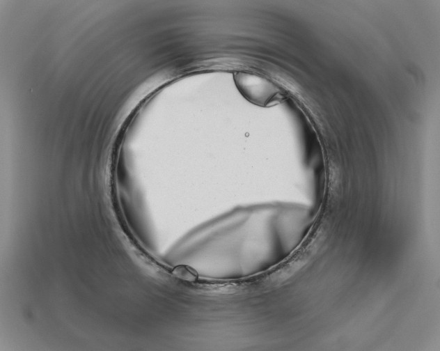 X0000112721426200909101437