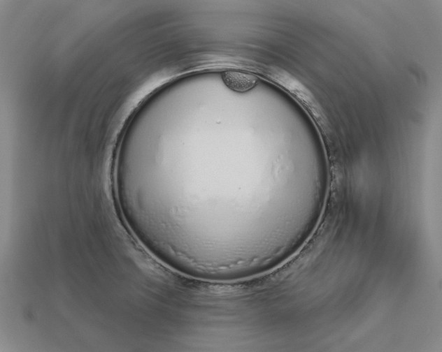 X0000112721427200909101437