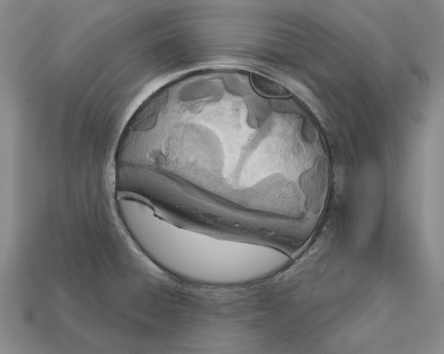 X0000112721428200909101437