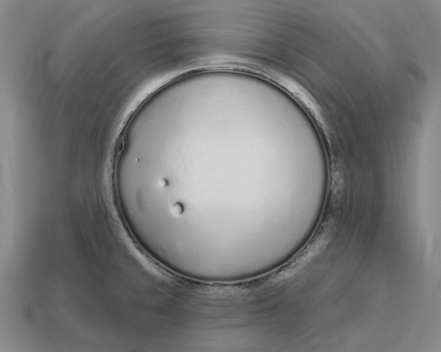 X0000112721429200909101437