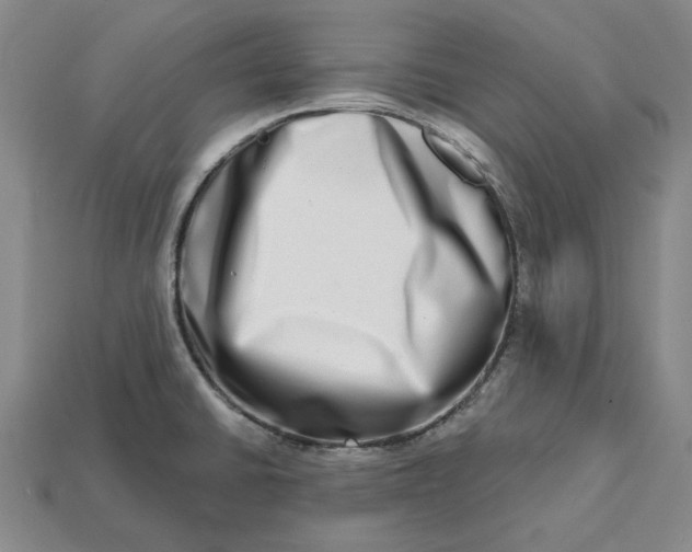 X0000112721430200909101437