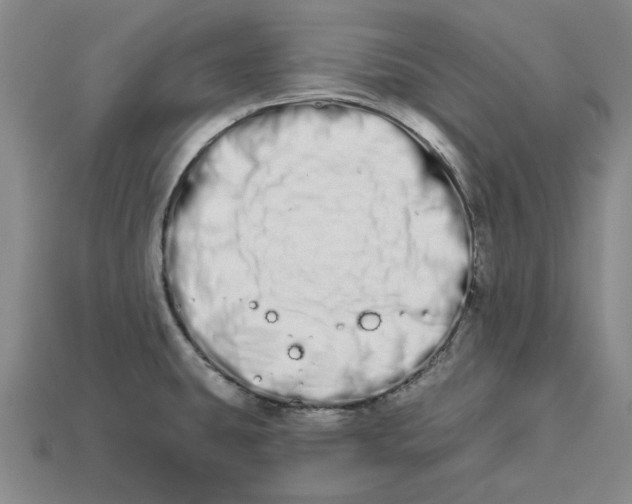 X0000112721431200909101437