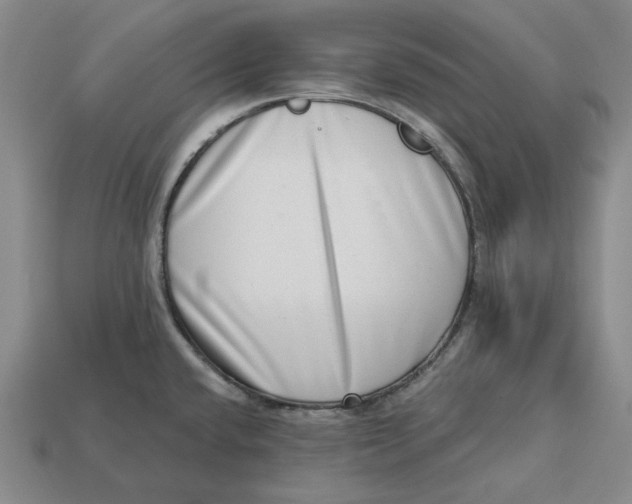 X0000112721432200909101437