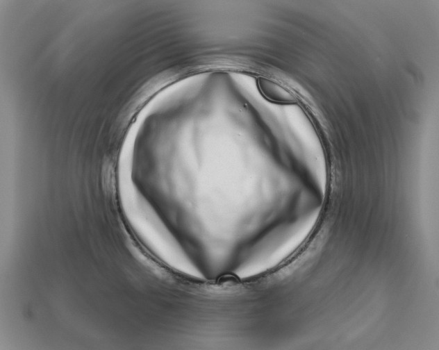 X0000112721433200909101437