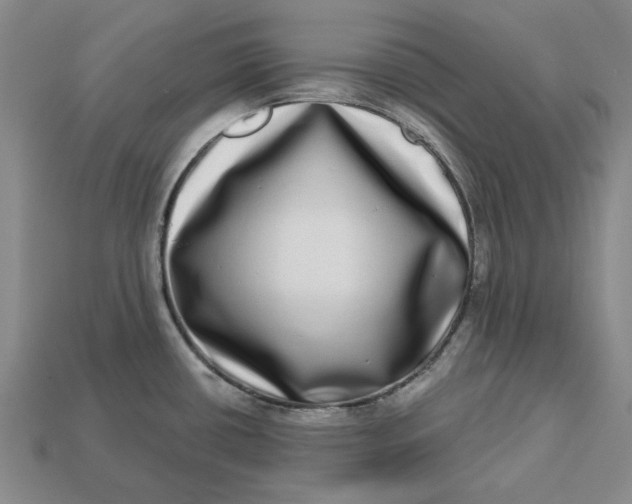 X0000112721434200909101437