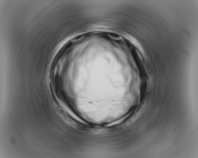 X0000112721435200909101437