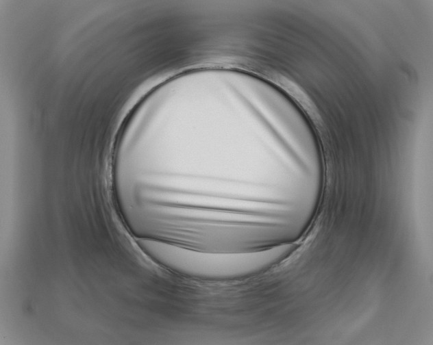 X0000112721436200909101437