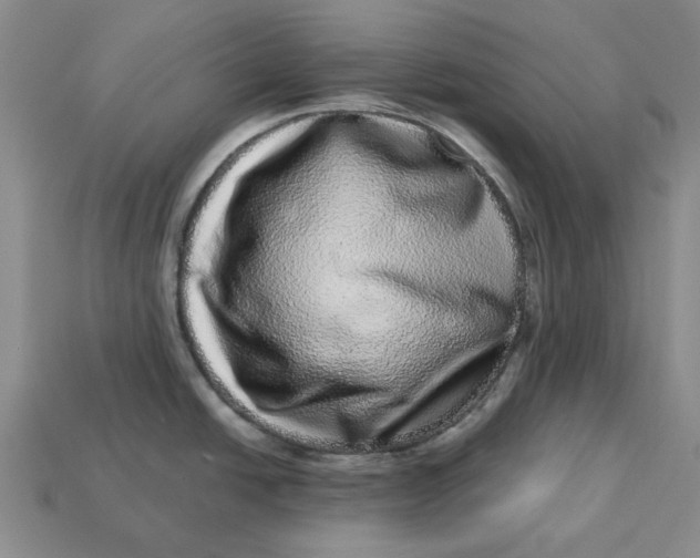 X0000112721438200909101437