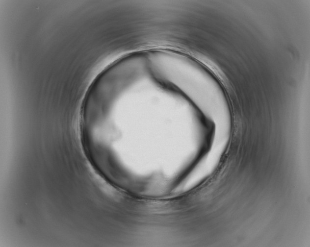 X0000112721439200909101437