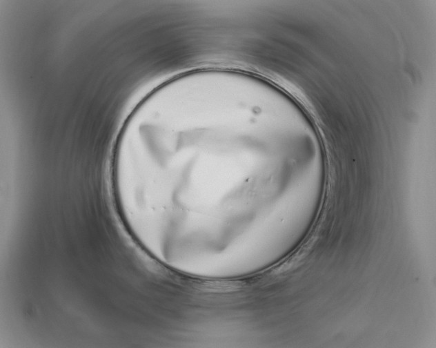 X0000112721440200909101437