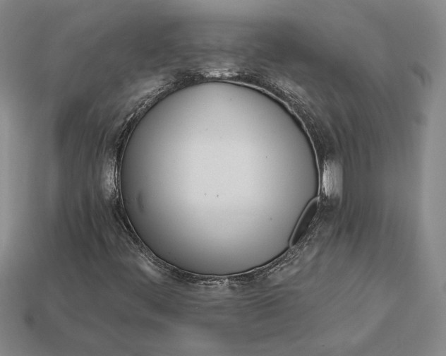 X0000112721444200909101437