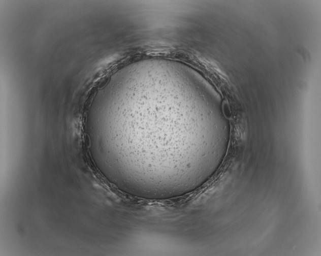 X0000112721445200909101437