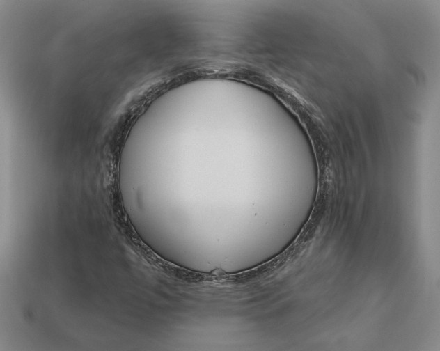 X0000112721447200909101437