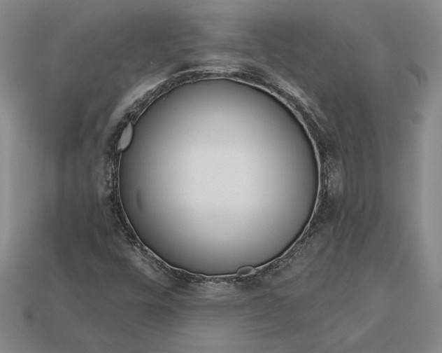 X0000112721448200909101437