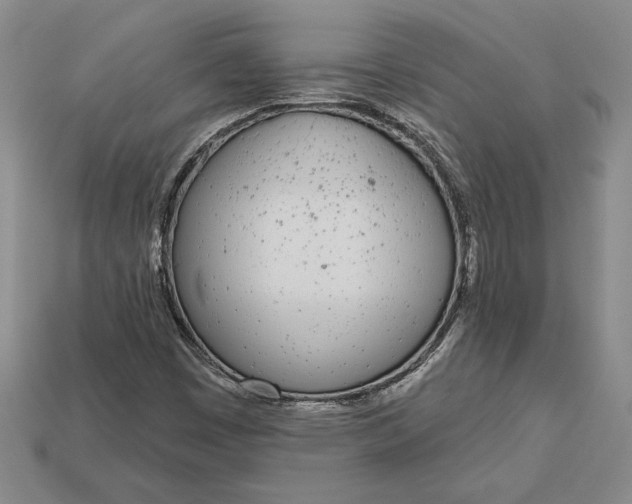 X0000112721449200909101437