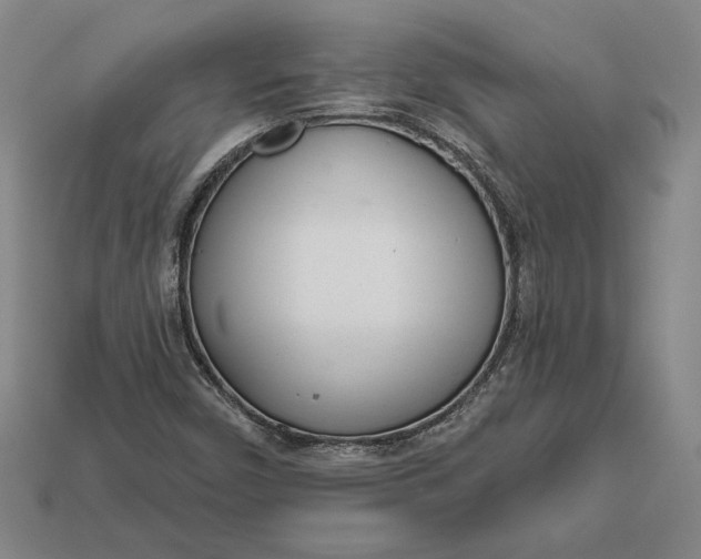 X0000112721450200909101437