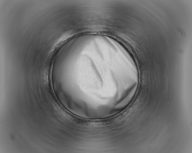 X0000112721451200909101437