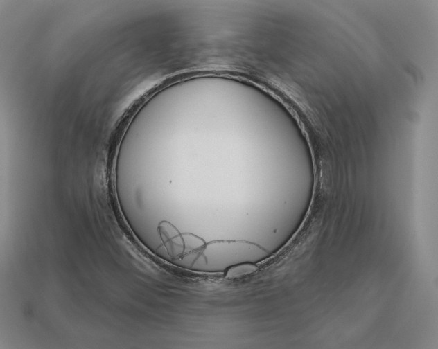 X0000112721452200909101437