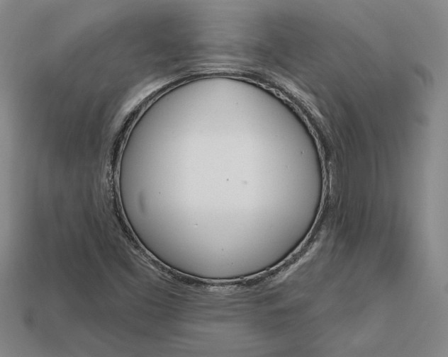 X0000112721453200909101437