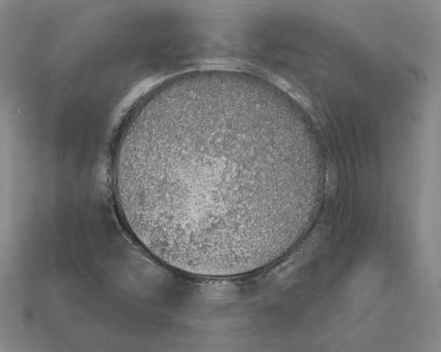 X0000112721454200909101437