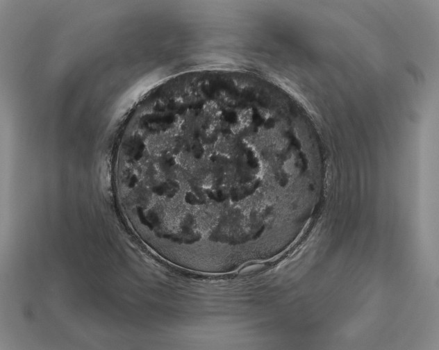 X0000112721455200909101437