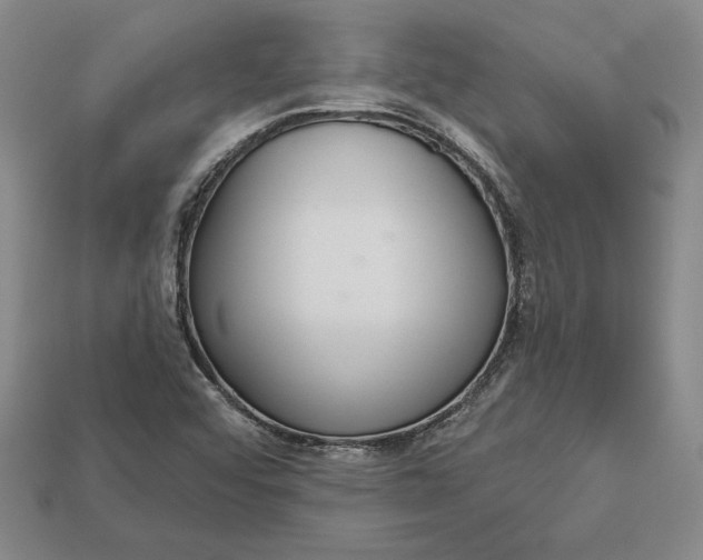 X0000112721456200909101437