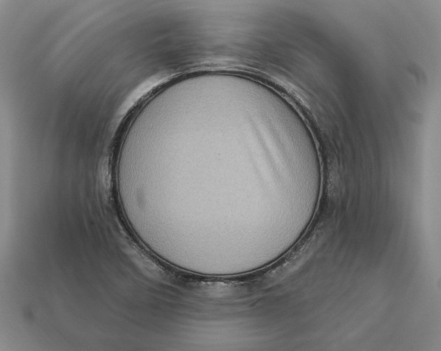 X0000112721458200909101437