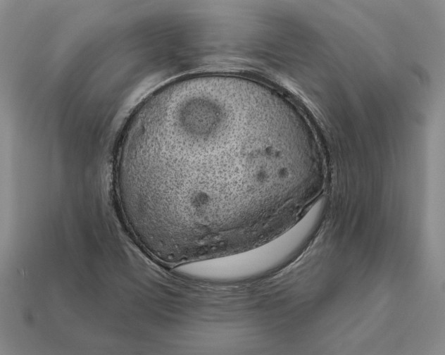 X0000112721459200909101437