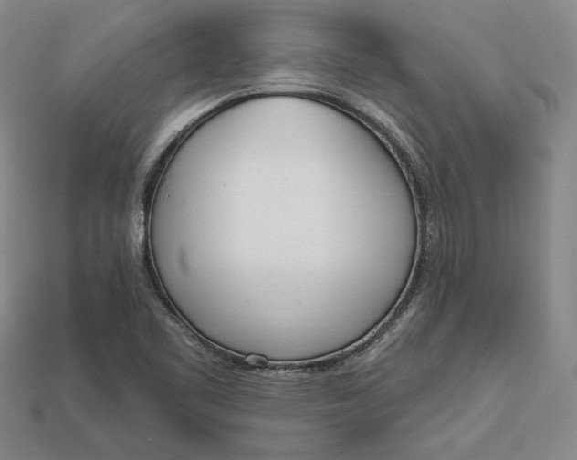 X0000112721461200909101437