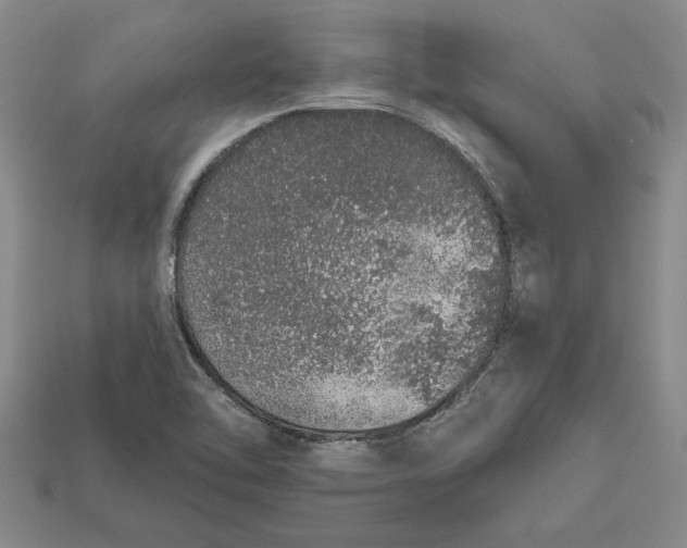 X0000112721462200909101436