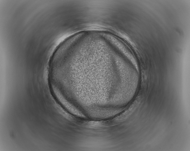 X0000112721463200909101436