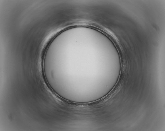 X0000112721464200909101436