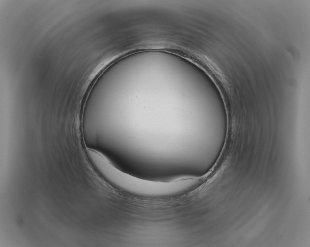 X0000112721465200909101436