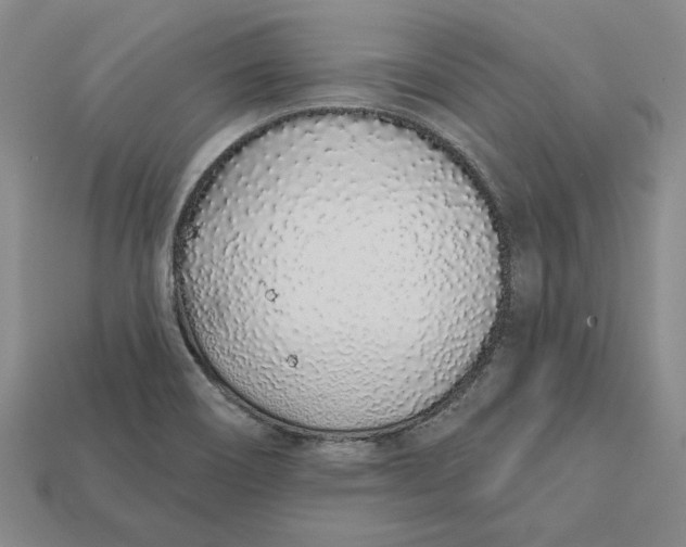 X0000112721466200909101436