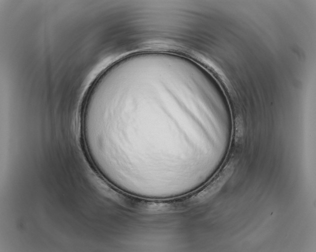 X0000112721467200909101436