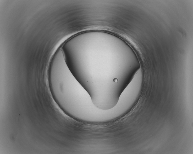 X0000112721468200909101436