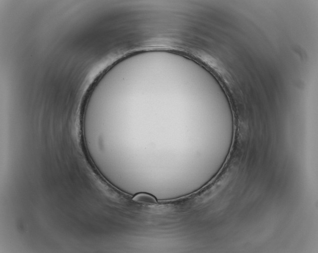 X0000112721469200909101436