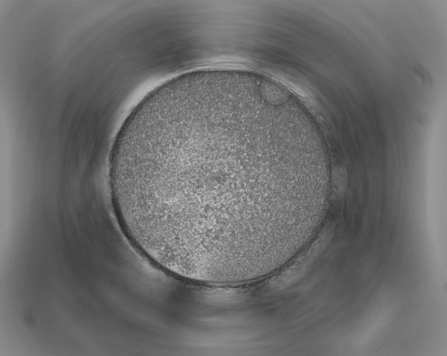 X0000112721470200909101436