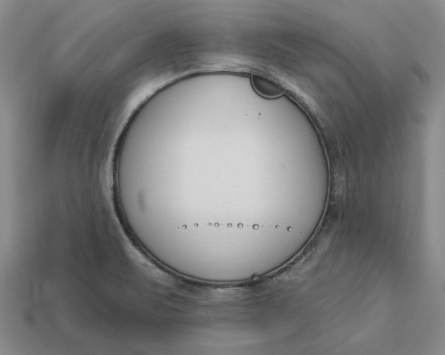 X0000112721471200909101436