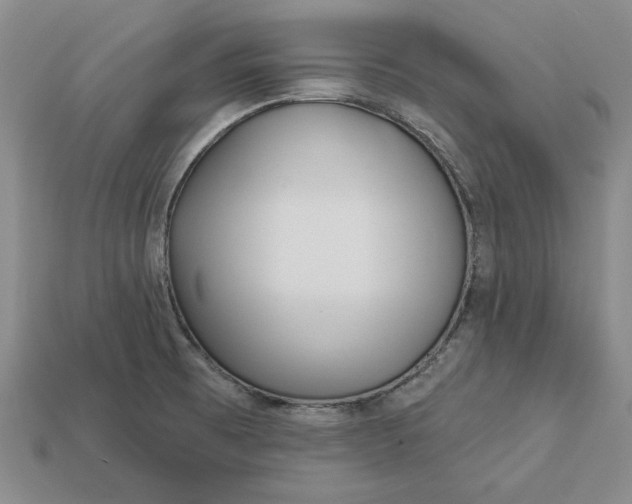 X0000112721473200909101436