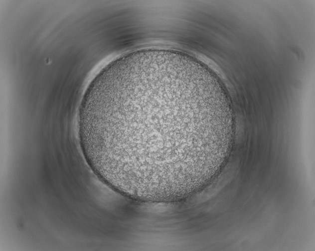 X0000112721474200909101436