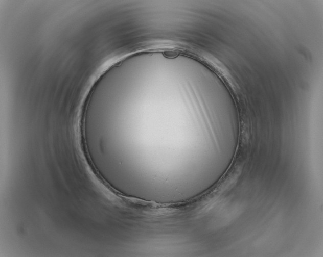 X0000112721475200909101436