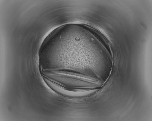 X0000112721476200909101436