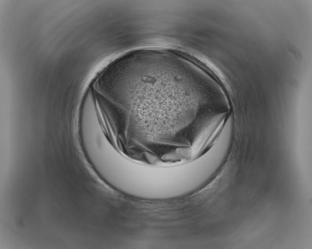 X0000112721477200909101436