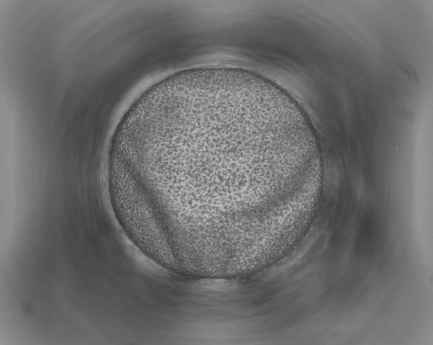 X0000112721478200909101436